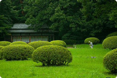 Orçamentos de jardinagem grátis